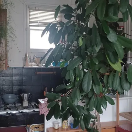 Charming 2-room, Close To Metro Paris